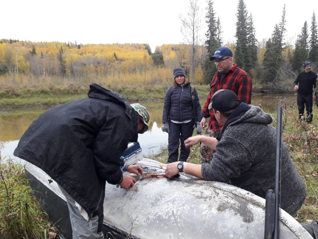 Athabasca River Bushcraft Canoe Trip 2020 $840 CDN ($300 deposit) - Nature AliveCourses