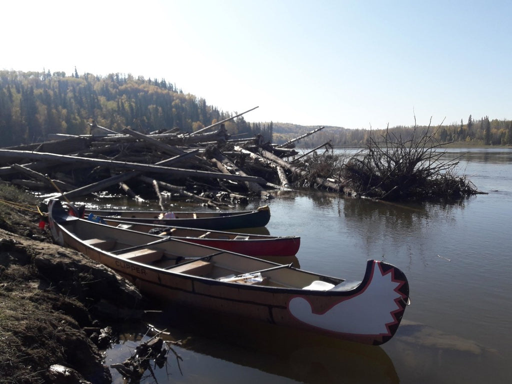 Athabasca River Classic Canoe Trips 2023 - $70 to $90 - Nature AliveTrips