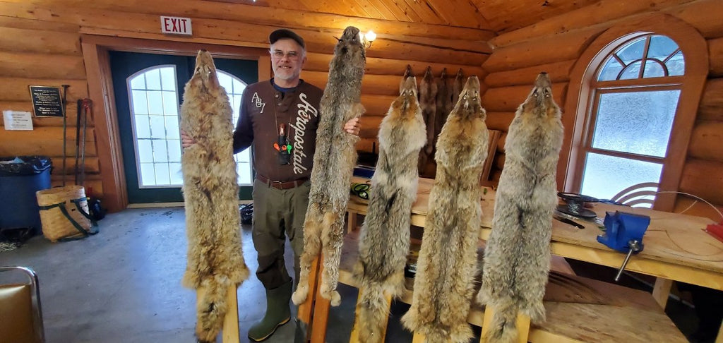 Bushcraft on the Trap Line - An Interactive Trap Line Experience January 21-28, 2024 - 7 days - Nature AliveCourses, winter, trapping,
