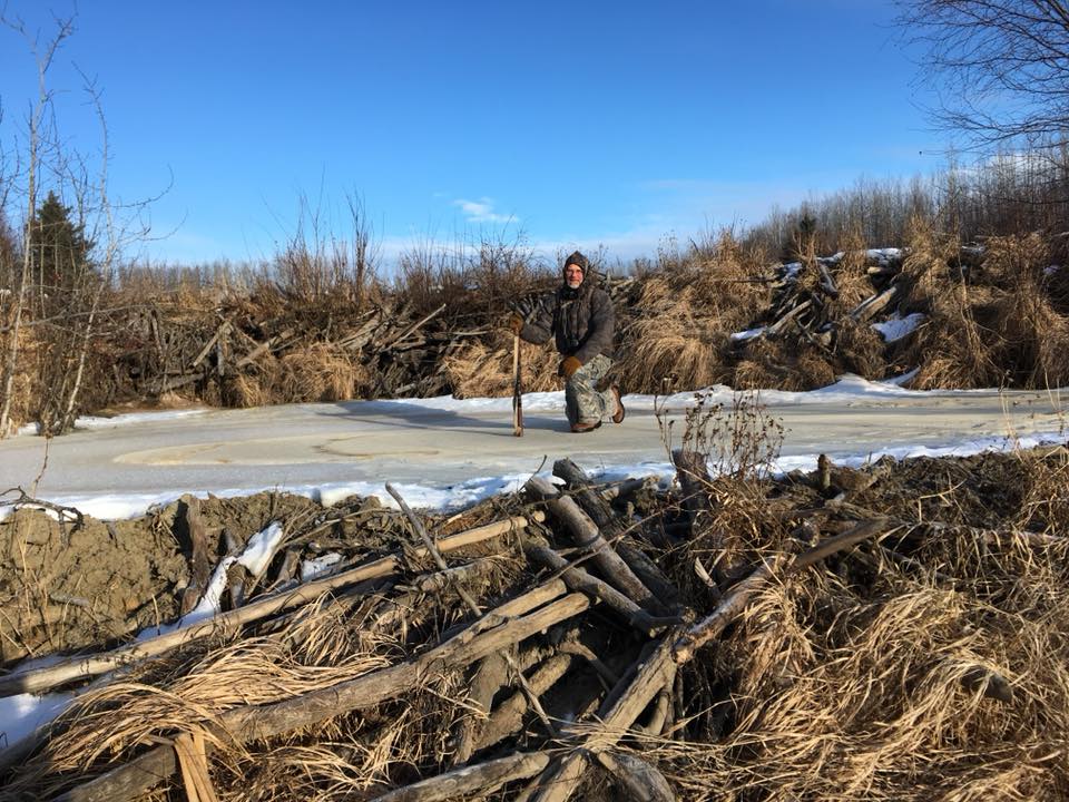 Bushcraft on the Trap Line - An Interactive Trap Line Experience January 21-28, 2024 - 7 days - Nature AliveCourses, winter, trapping,