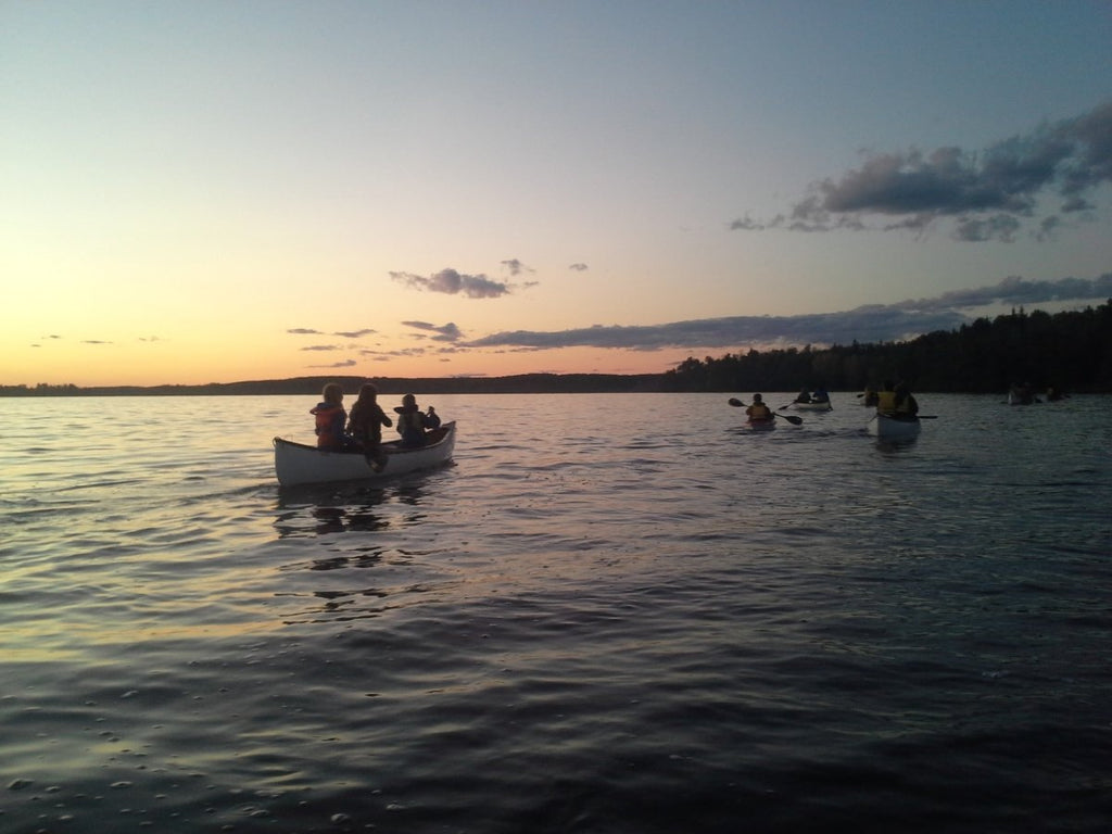 Lake Canoeing Skills - Introduction - June 1, 2024 - Nature AliveCourses